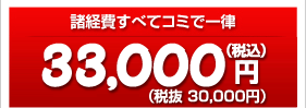 33,000円(税抜30,000円)